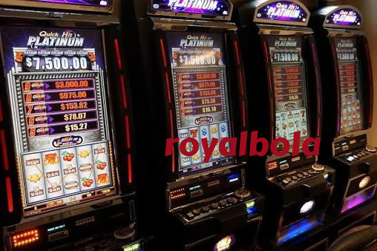 royalbola Live Sportsbook Markets at Your Fingertips